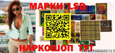 индика Аргун