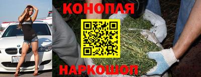 альфа пвп Гай
