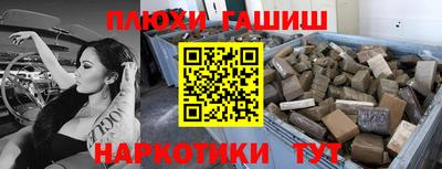 индика Аргун