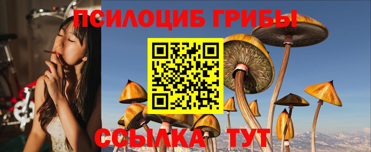 Галлюциногенные грибы Psilocybine cubensis Сосновый Бор