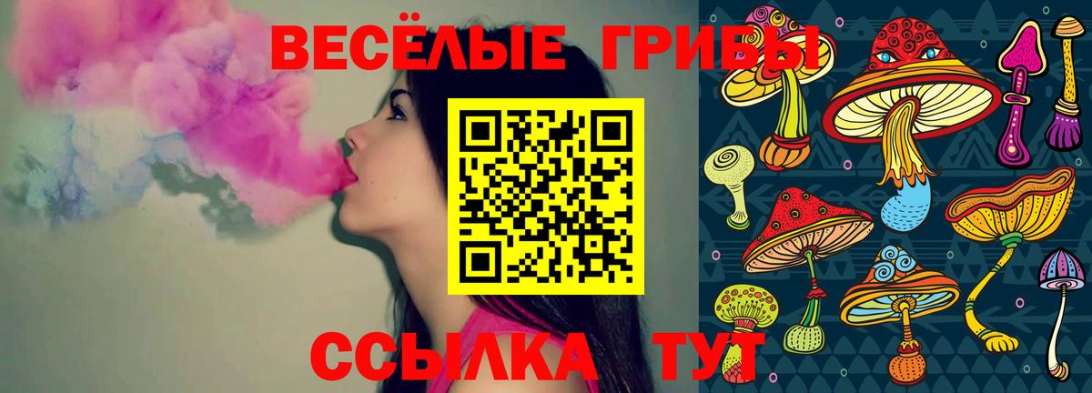 купить  сайты  Галлюциногенные грибы Cubensis  Вход с VPN  Сосновый Бор 