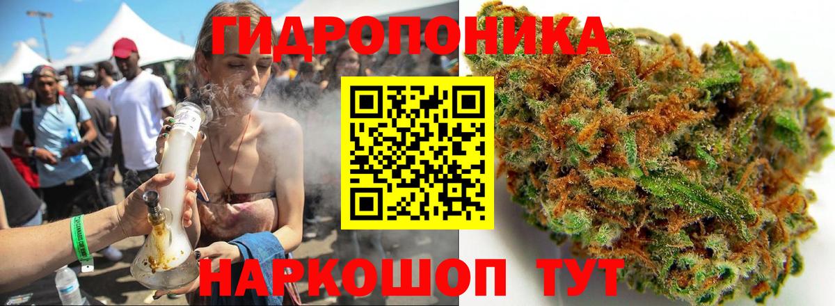 Шишки марихуана план Сосновый Бор